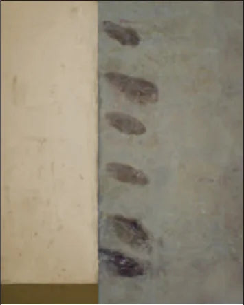 Senkrechte Heißparaffinsperre in einer Wand in der Nähe der Verzahnung mit einer Querwand; Verteilungsprobleme des Paraffins sichtbar