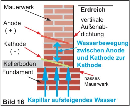 Versuchsaufbau Elektro-Osmose: Mauerwerk mit Erdreich, Anode (+) und Kathode (-), Wasserbewegung zwischen Anode und Kathode zur Kathode, kapillar aufsteigendes Wasser, Kellerboden und Fundament