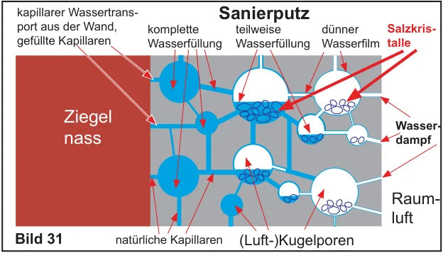 Querschnitt durch Sanierputz: natürliche Kapillaren und Kugel-Luftporen